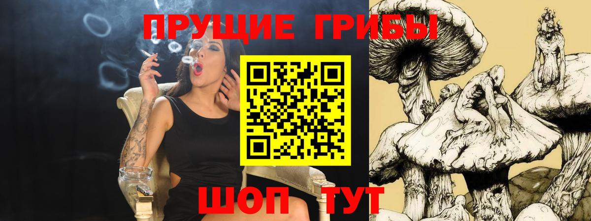Псилоцибиновые грибы MAGIC MUSHROOMS Ярославль