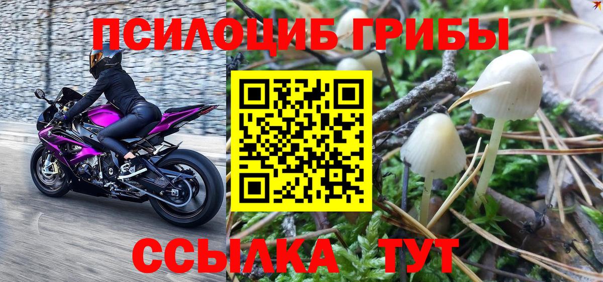 наркотики  Вход с VPN  Ярославль  Галлюциногенные грибы ЛСД 